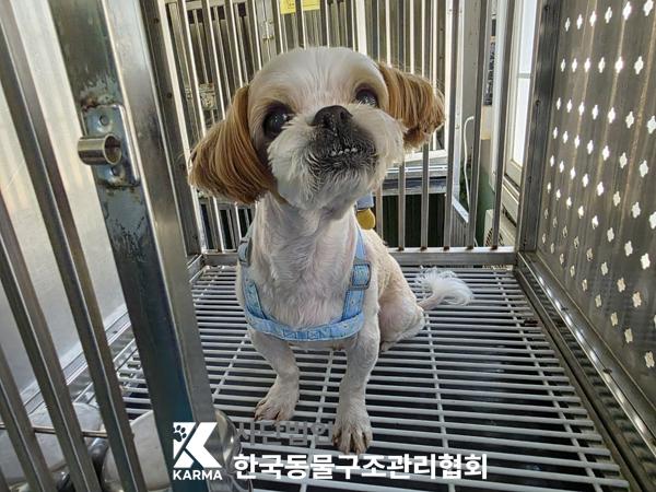 한국동물구조관리협회_411316202500183